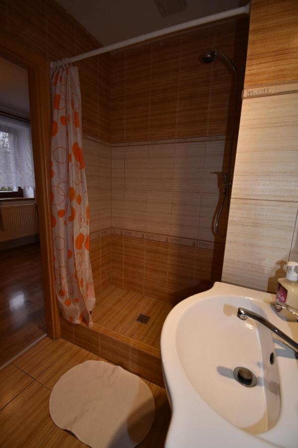 Apartmany Snezenka Дештне в Орлицких горах Экстерьер фото