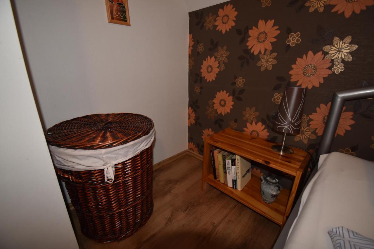 Apartmany Snezenka Дештне в Орлицких горах Экстерьер фото